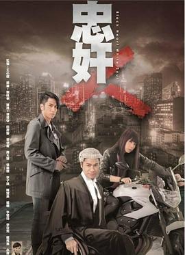 忠奸人国语 第28集