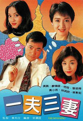 一夫三妻粤语 第09集