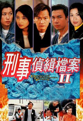 刑事侦缉档案2粤语 第13集
