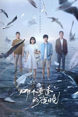 那个重逢的夜晚 第12集