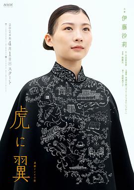 如虎添翼 第12集