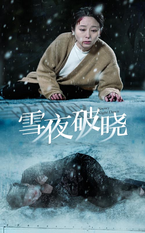 雪夜破晓 第35集