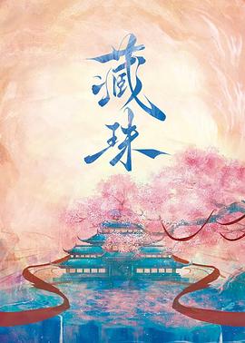 藏珠 第19集