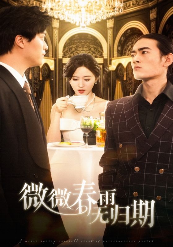 微微春雨无归期 第47集