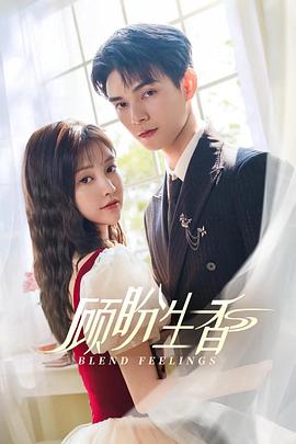 顾盼生香 第20集