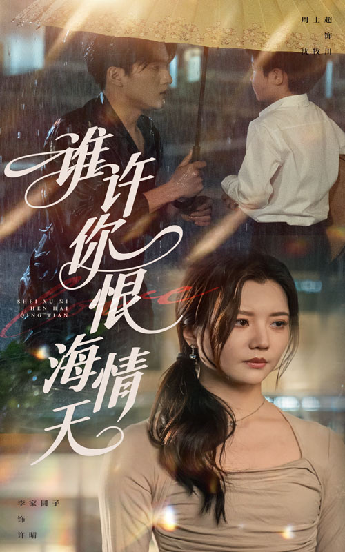 谁许你恨海情天 第29集
