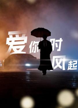 爱你时风起 第17集