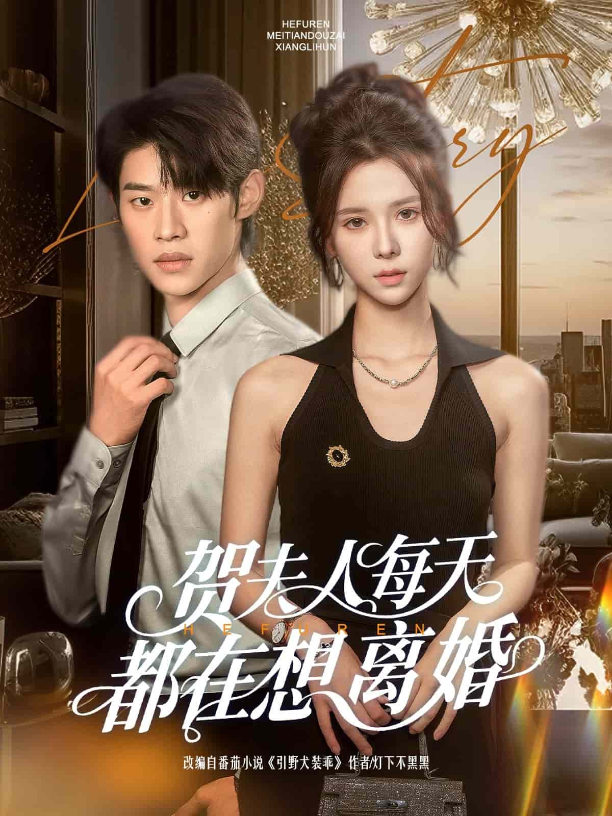 贺夫人每天都在想离婚 第16集