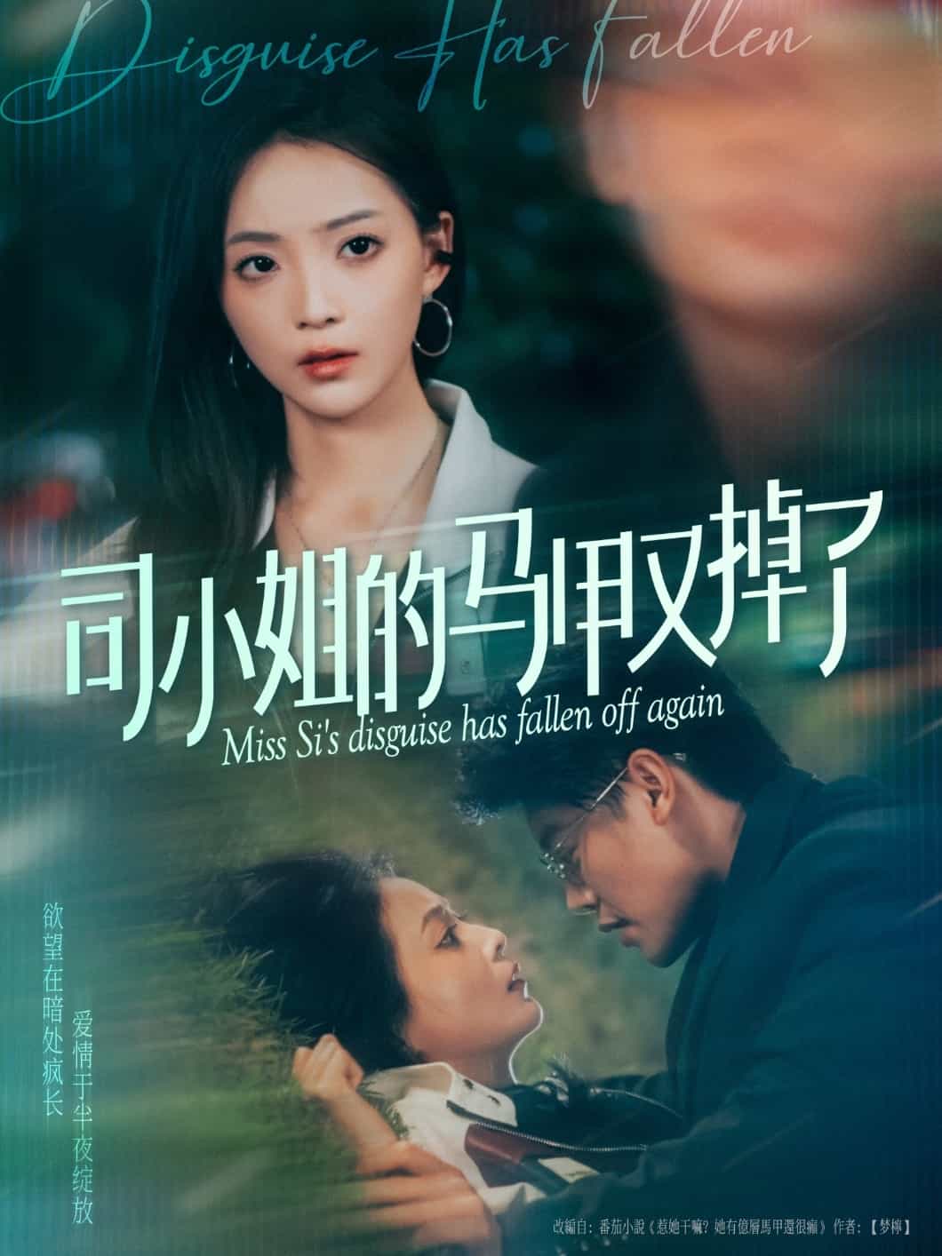 司小姐的马甲又掉了 第48集