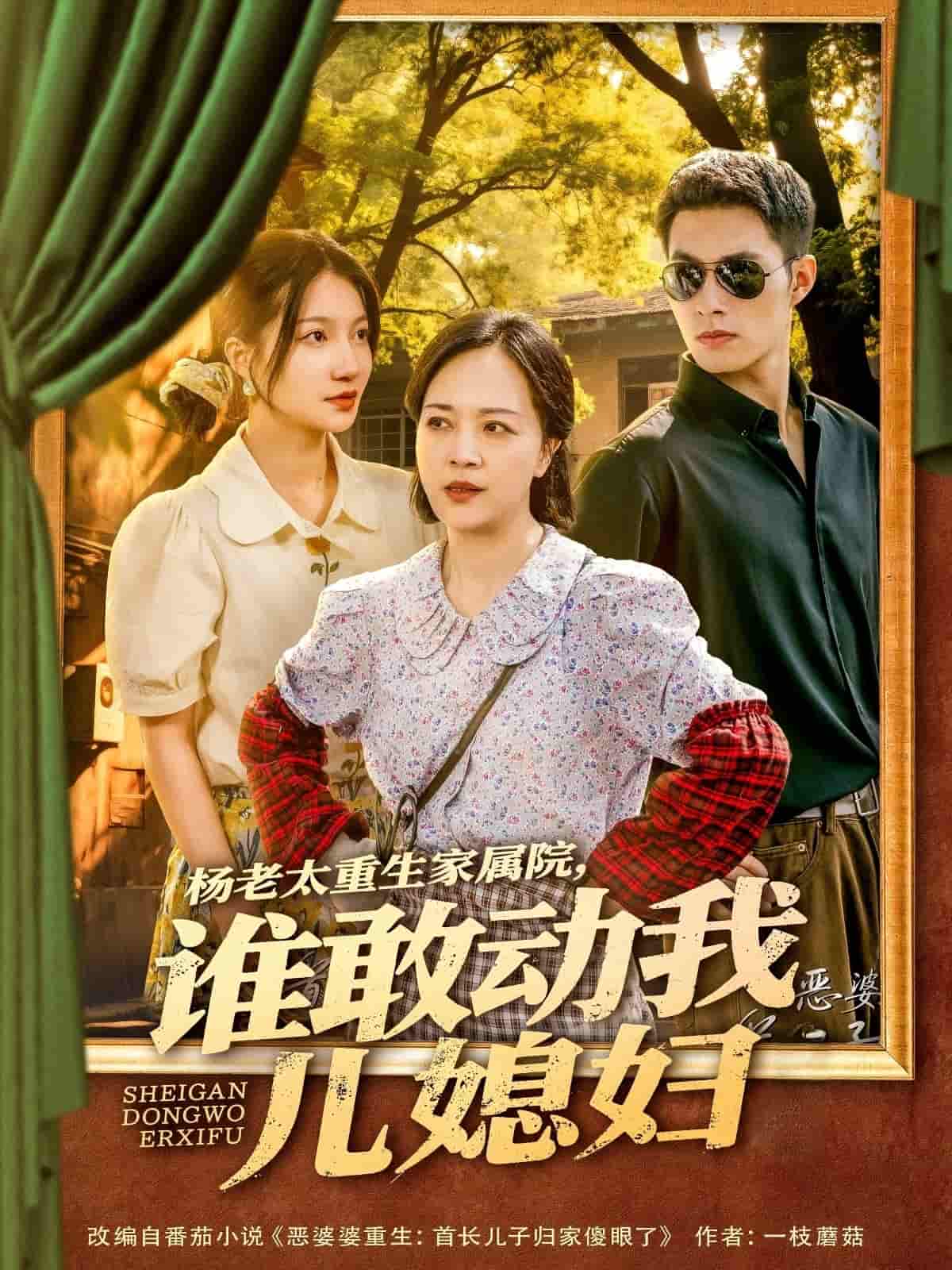 杨老太重生家属院，谁敢动我儿媳妇 第81集