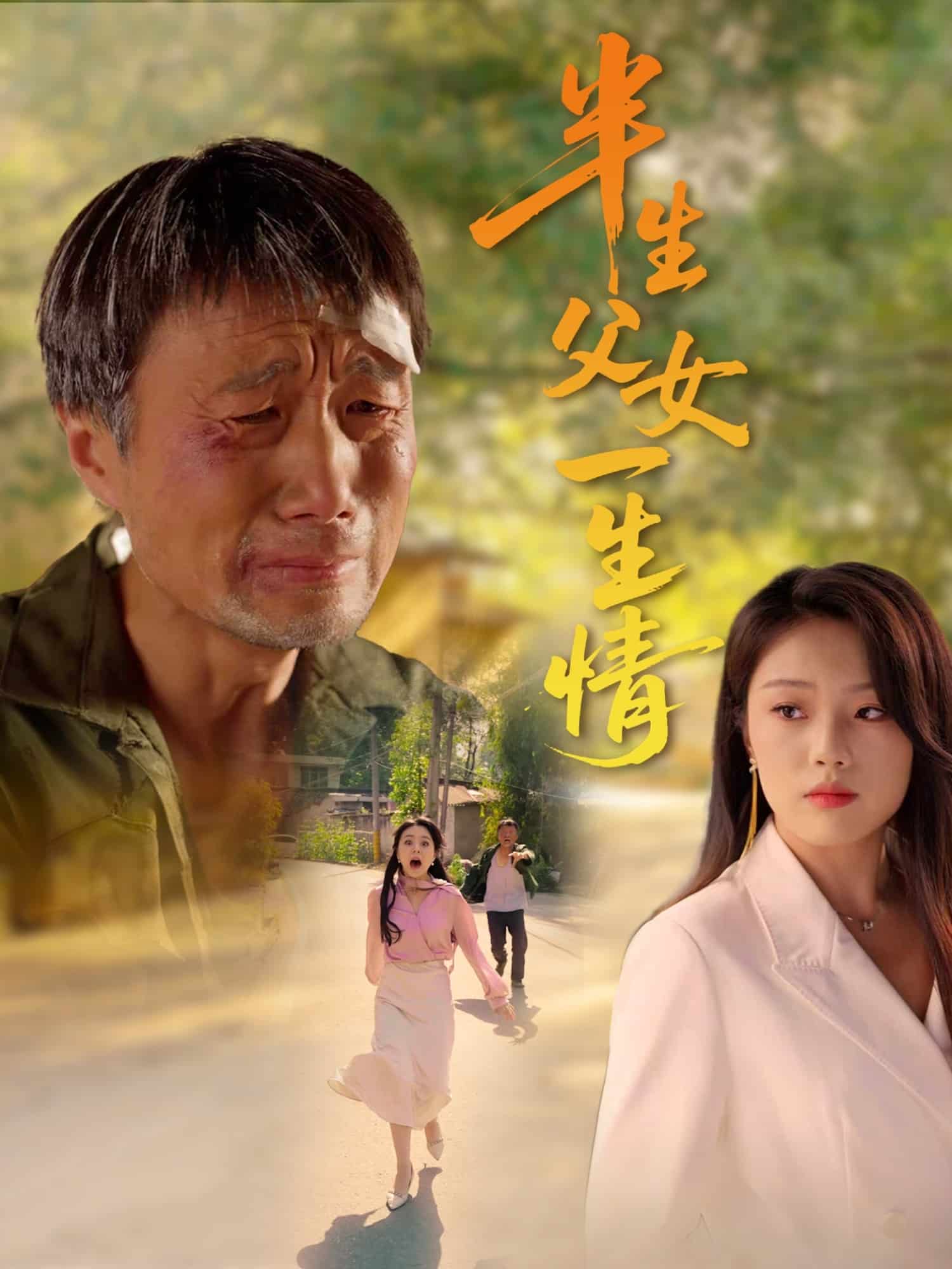 半生父女一生情 第30集