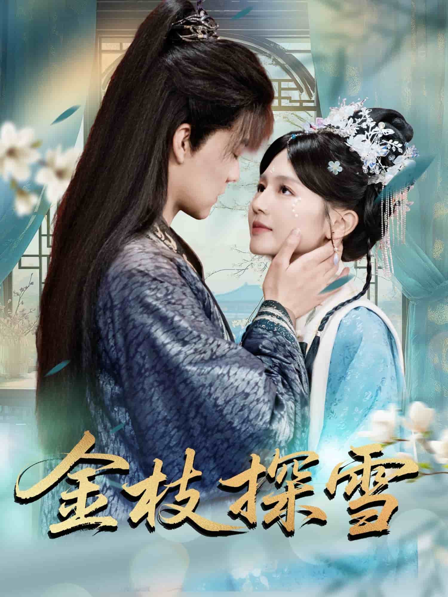 金枝探雪 第79集