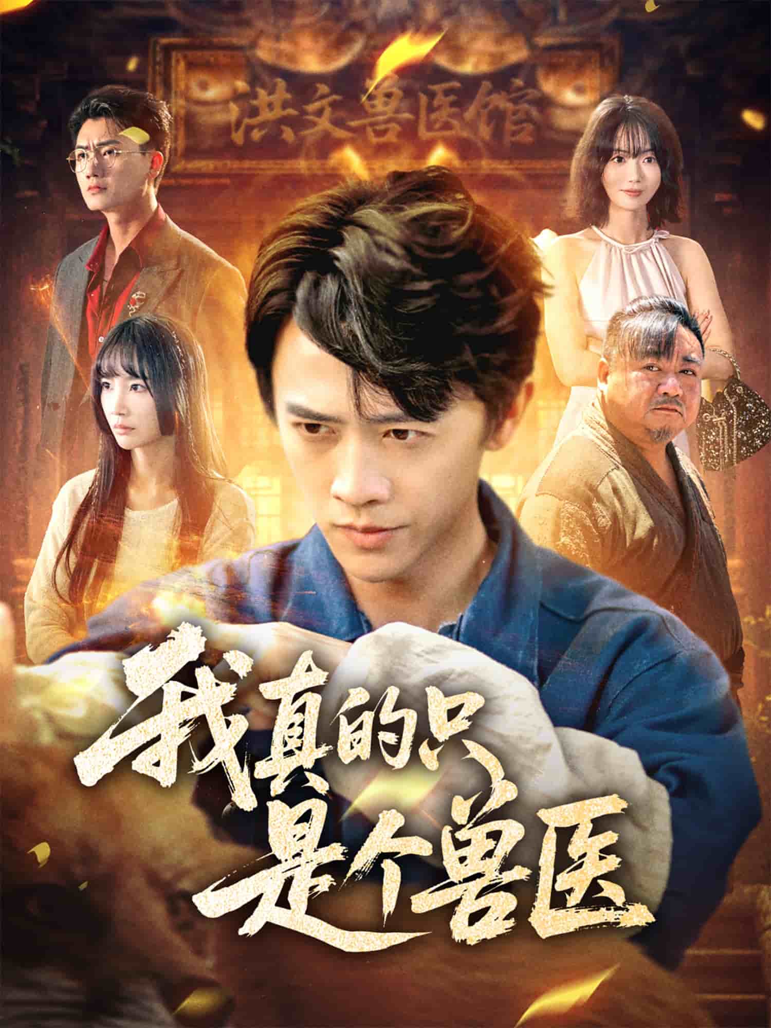 我真的只是个兽医 第1集