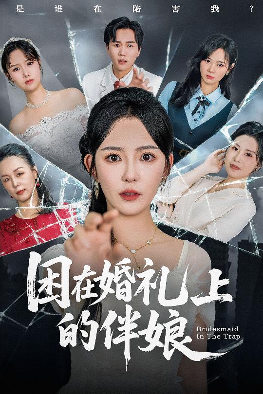 困在婚礼上的伴娘 第28集
