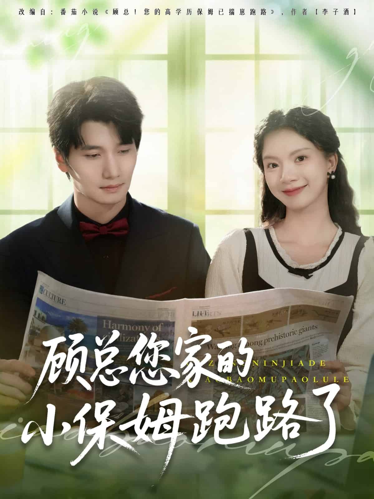 顾总您家的小保姆跑路了 第9集