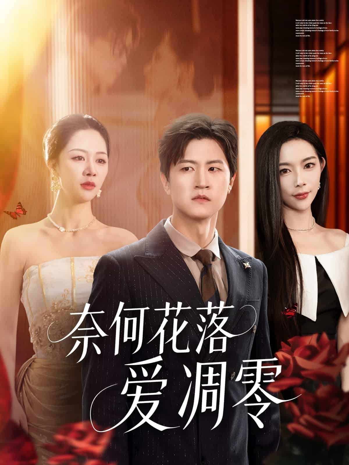 奈何花落爱凋零 第22集
