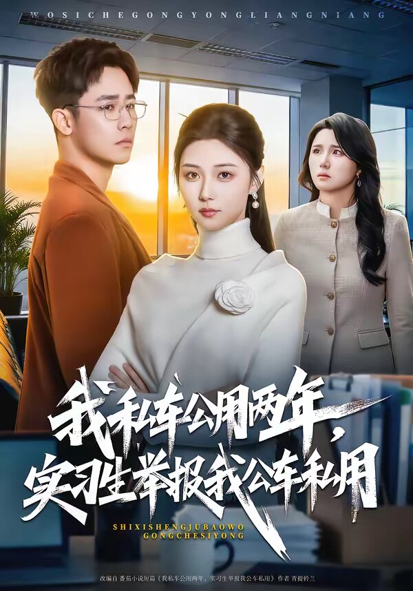 我私车公用两年，实习生举报我公车私用 第01集
