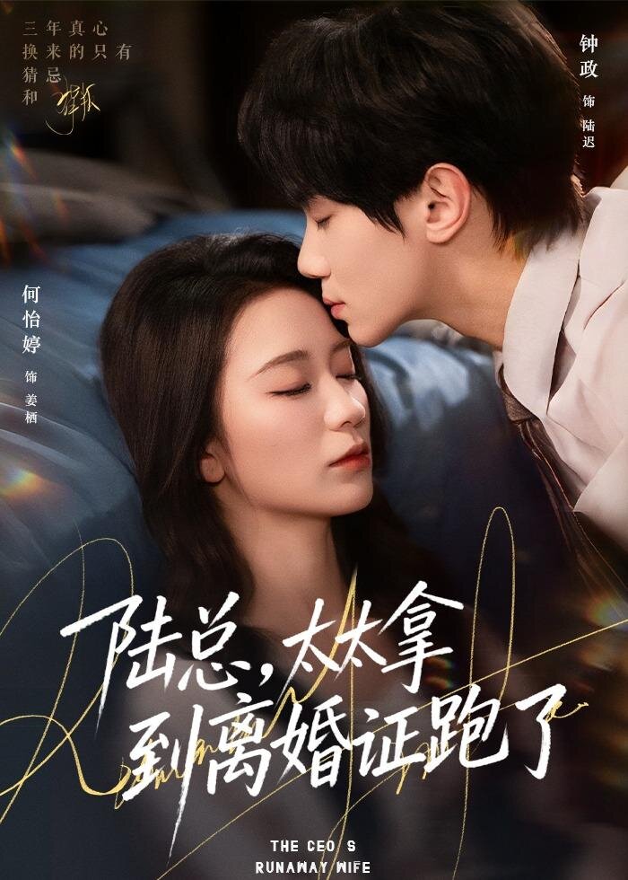 陆总，太太拿到离婚证跑了 第80集