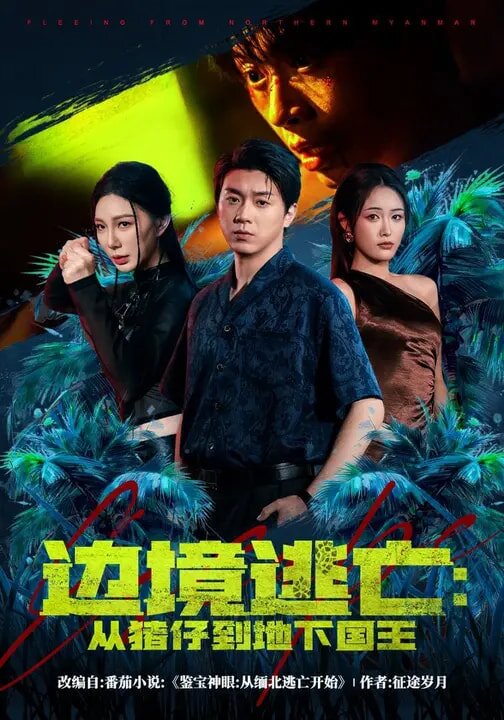 边境逃亡：从猪仔到地下国王 第34集