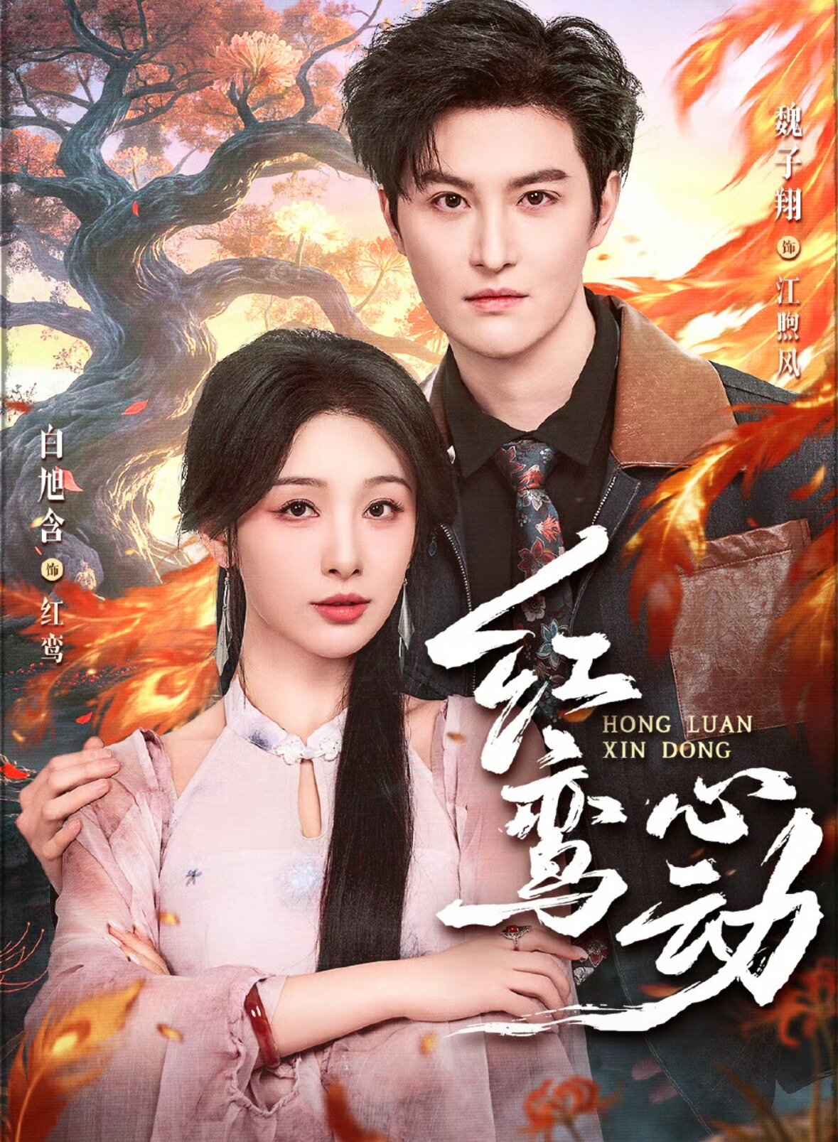 红鸾心动 第42集