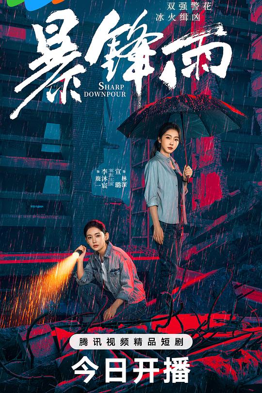 暴锋雨 第15集