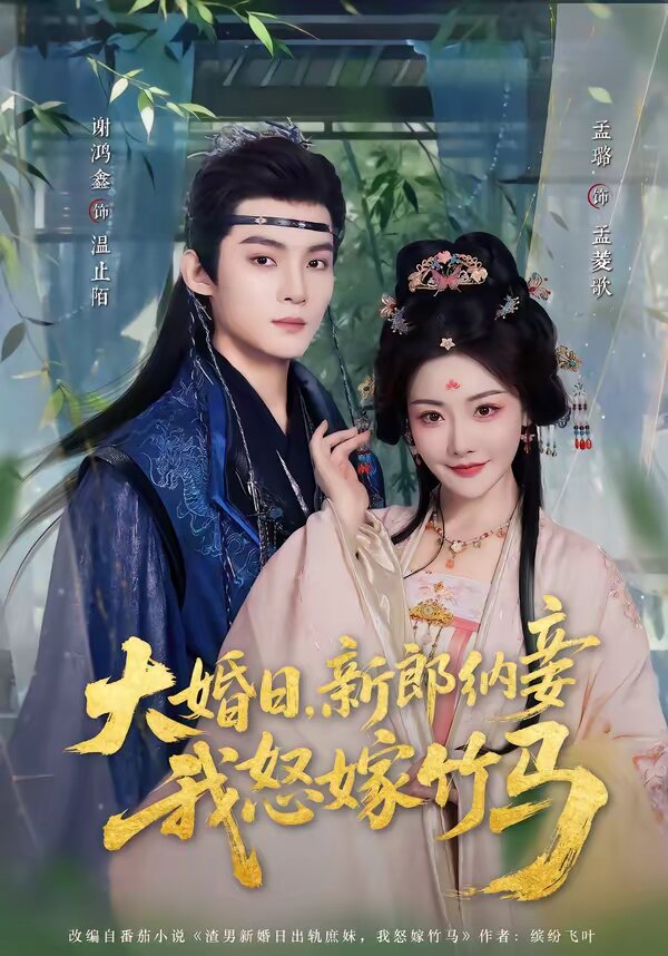 大婚日，新郎纳妾我怒嫁竹马 第25集
