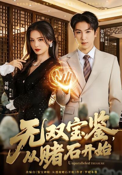 无双宝鉴，从赌石开始 第52集