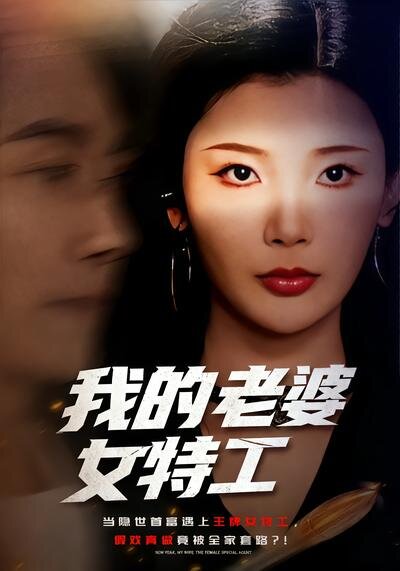 我的老婆女特工 第01集