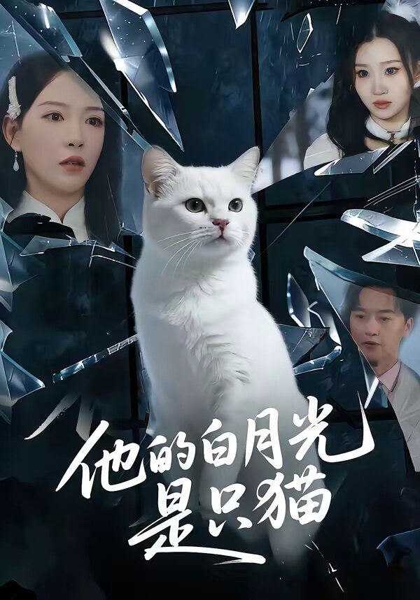 他的白月光是只猫 第01集