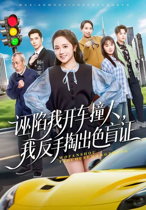 诬陷我开车撞人，我反手掏出色盲证 第30集