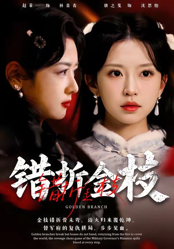 错折金枝 第21集