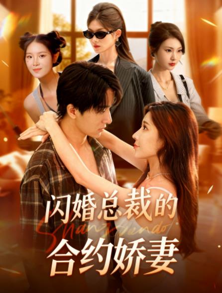 闪婚总裁契约妻 第01集