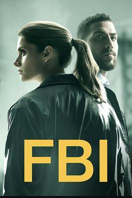 联邦调查局第二季 第02集