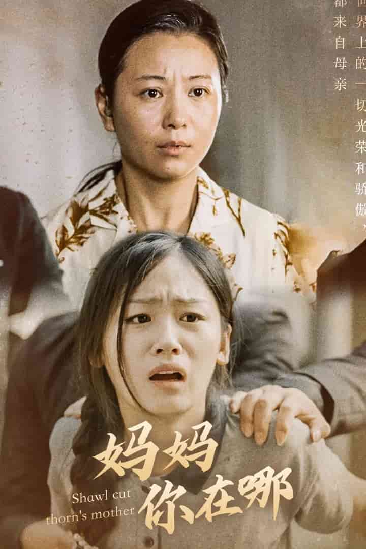 妈妈你在哪 第02集