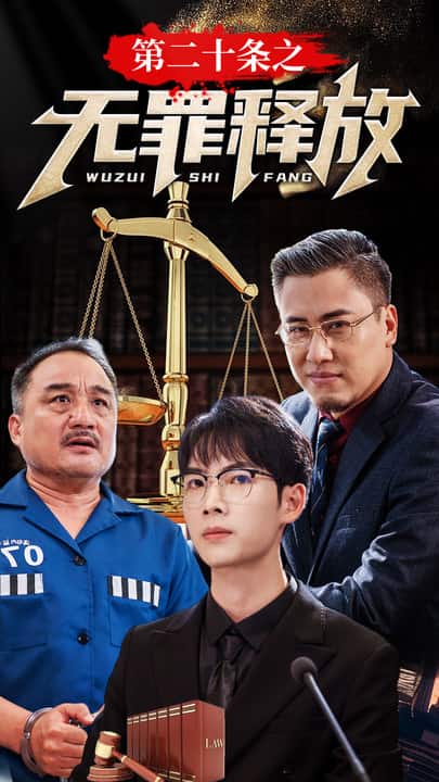 第二十条之无罪释放 第02集