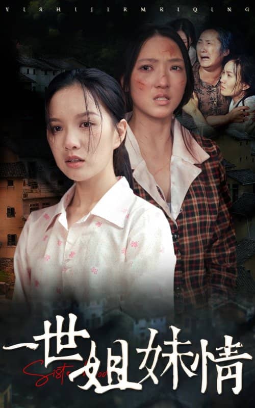 一世姐妹情 第11集