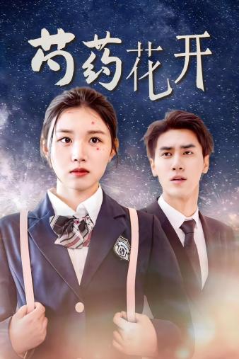 火光中的芍药花 第01集