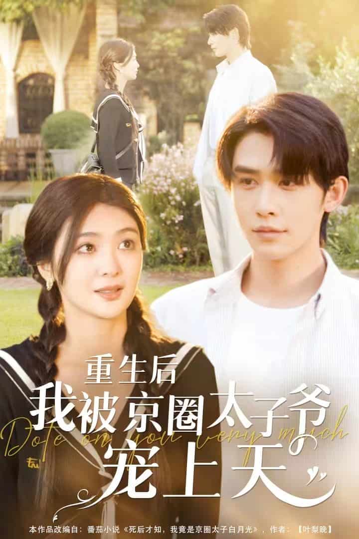 重生后我被京圈太子爷宠上天 第03集