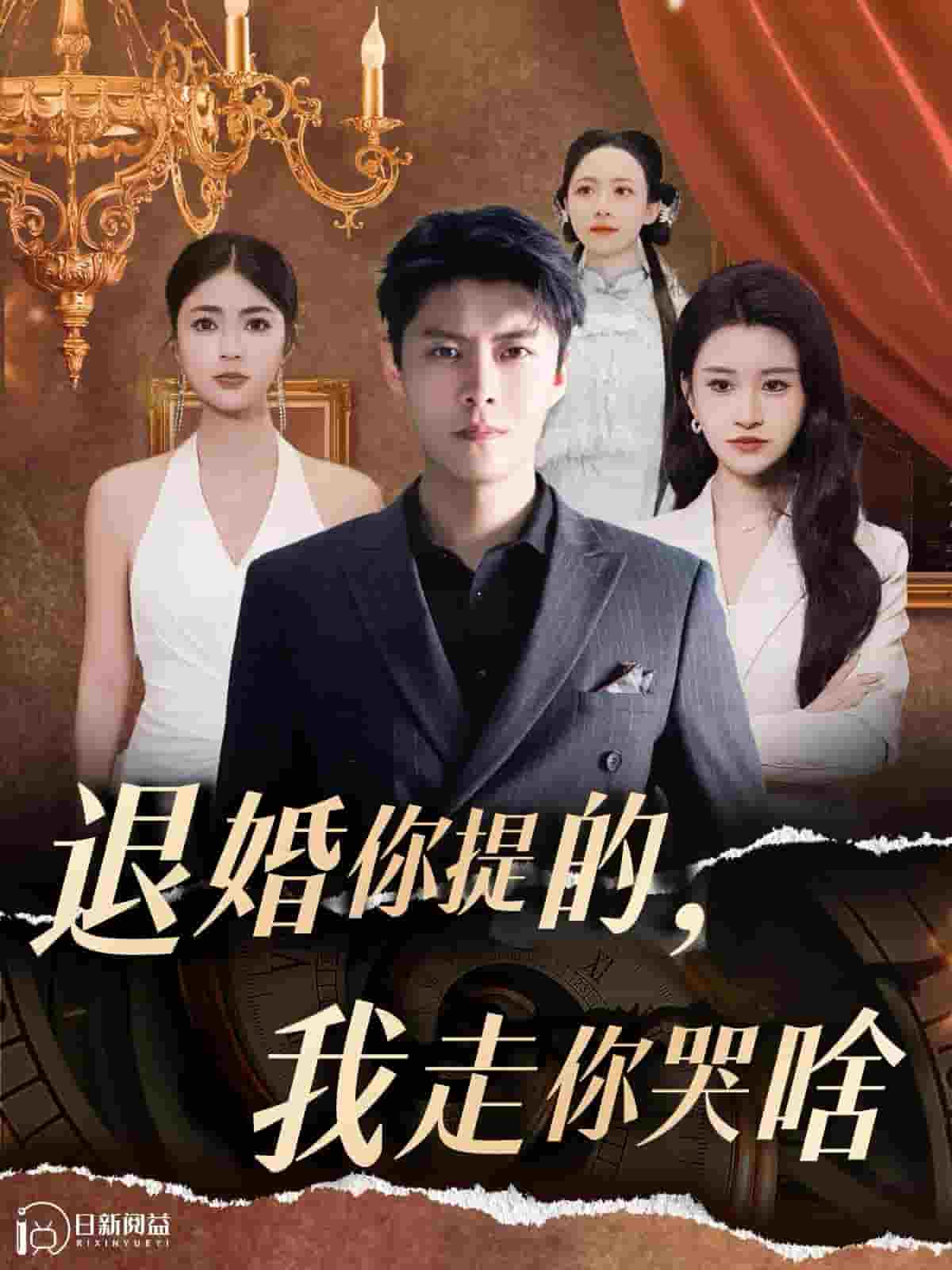 退婚你提的我走你哭啥 第110集(大结局)