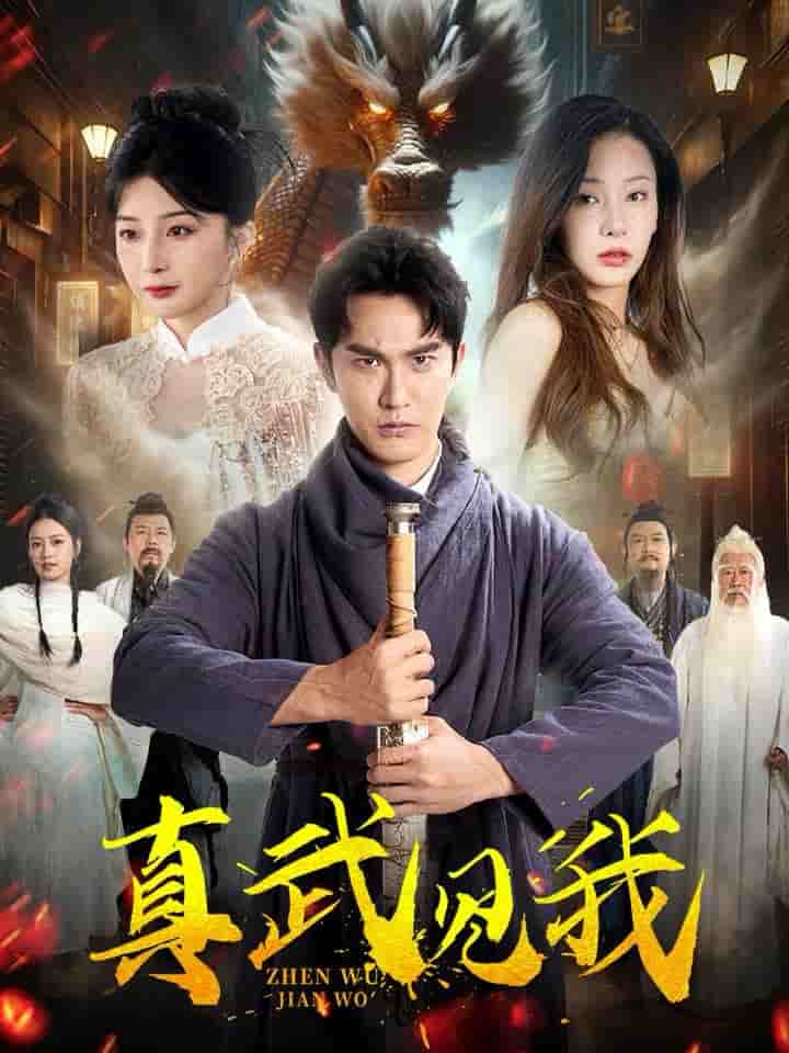 真武见我 第12集