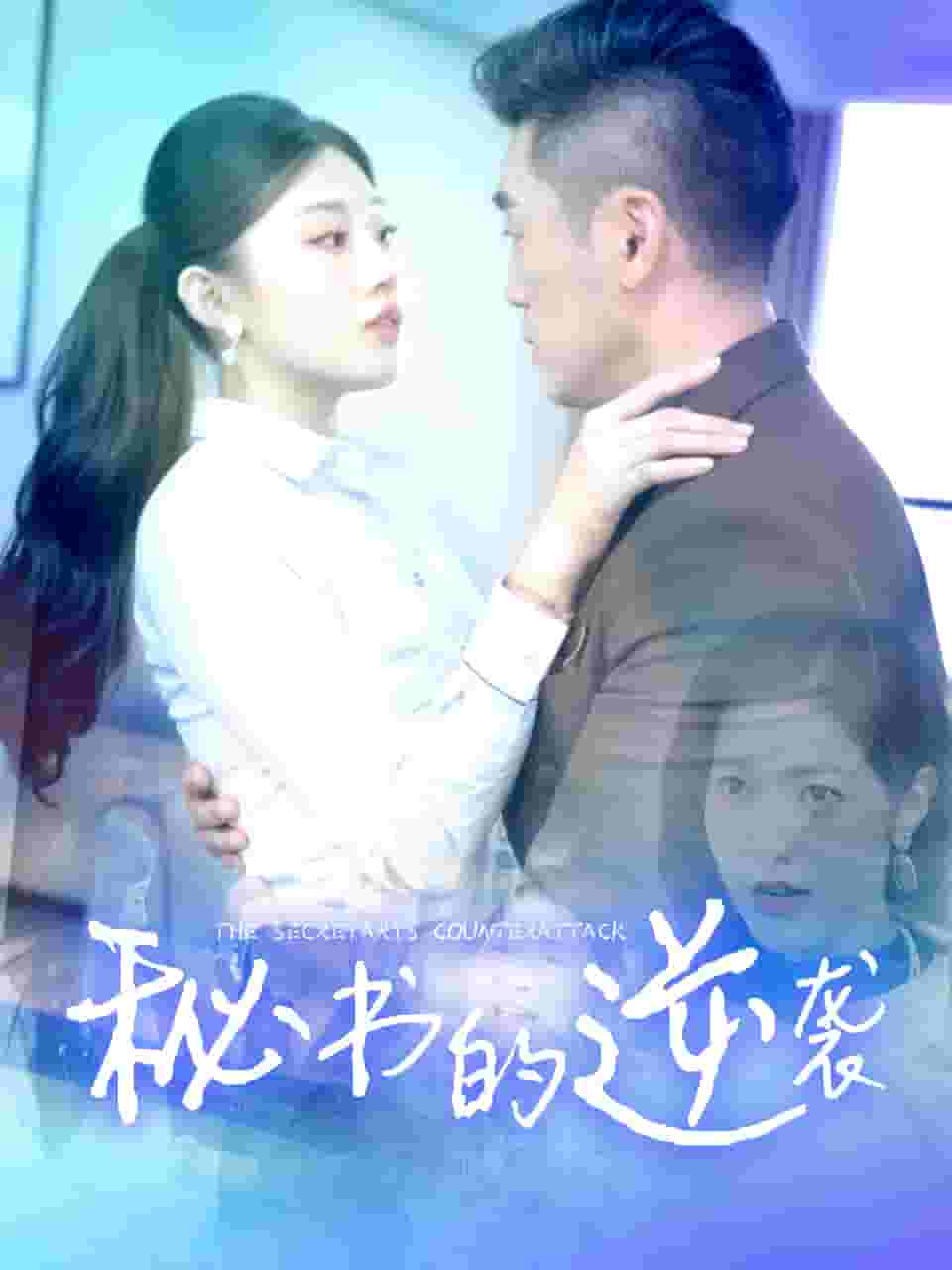 秘书的逆袭 第02集