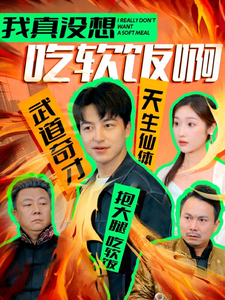 我真没想吃软饭啊 第16集