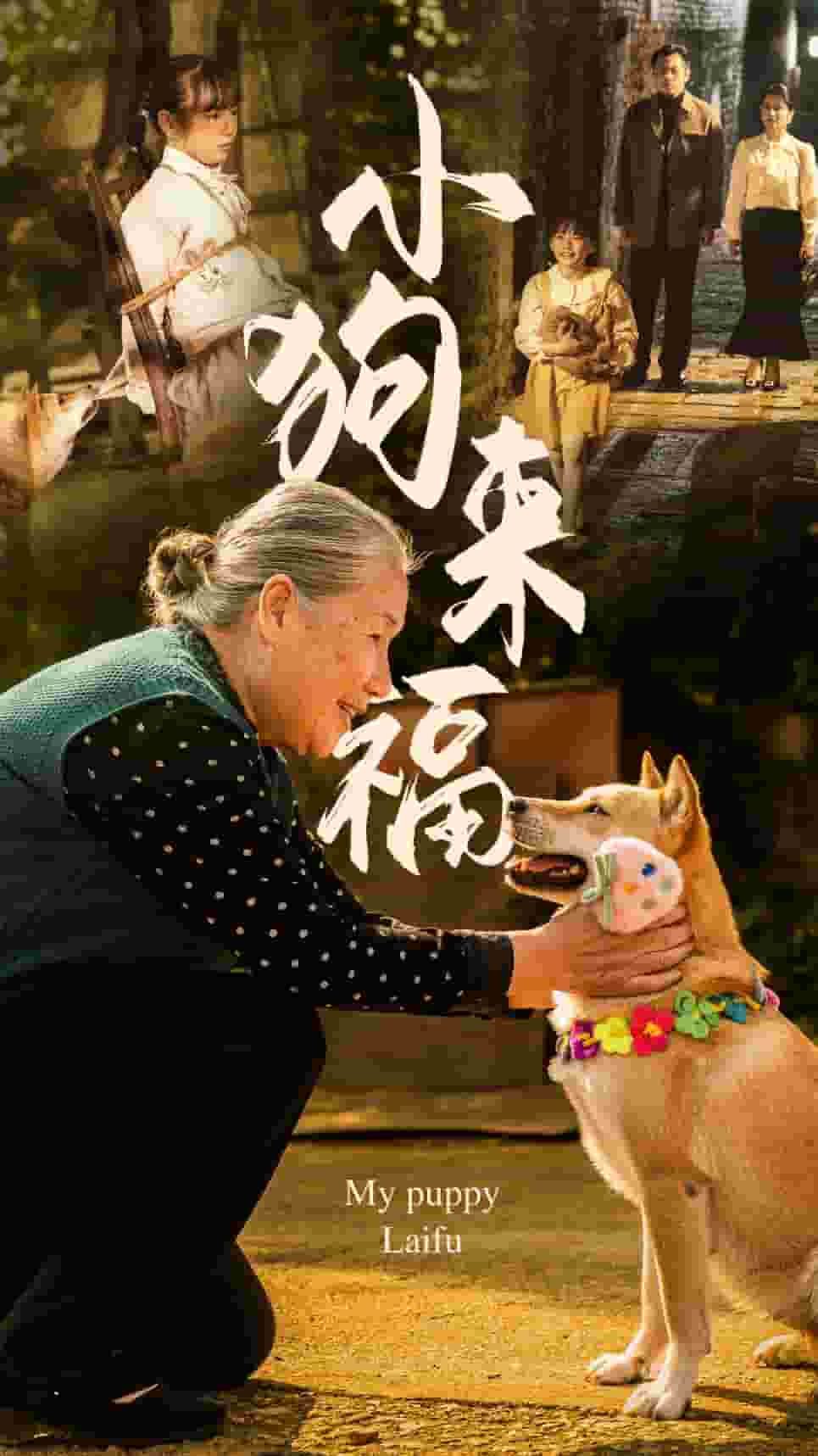 小狗来福 第01集