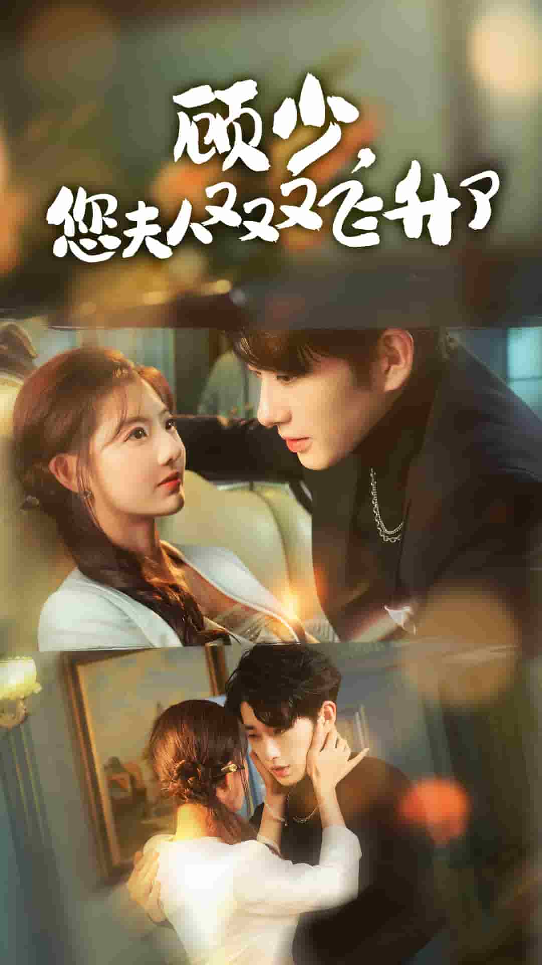 顾少您夫人又又又飞升了 第12集