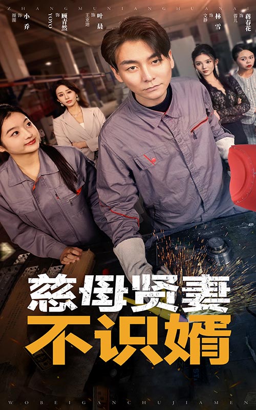 慈母贤妻不识婿 第03集