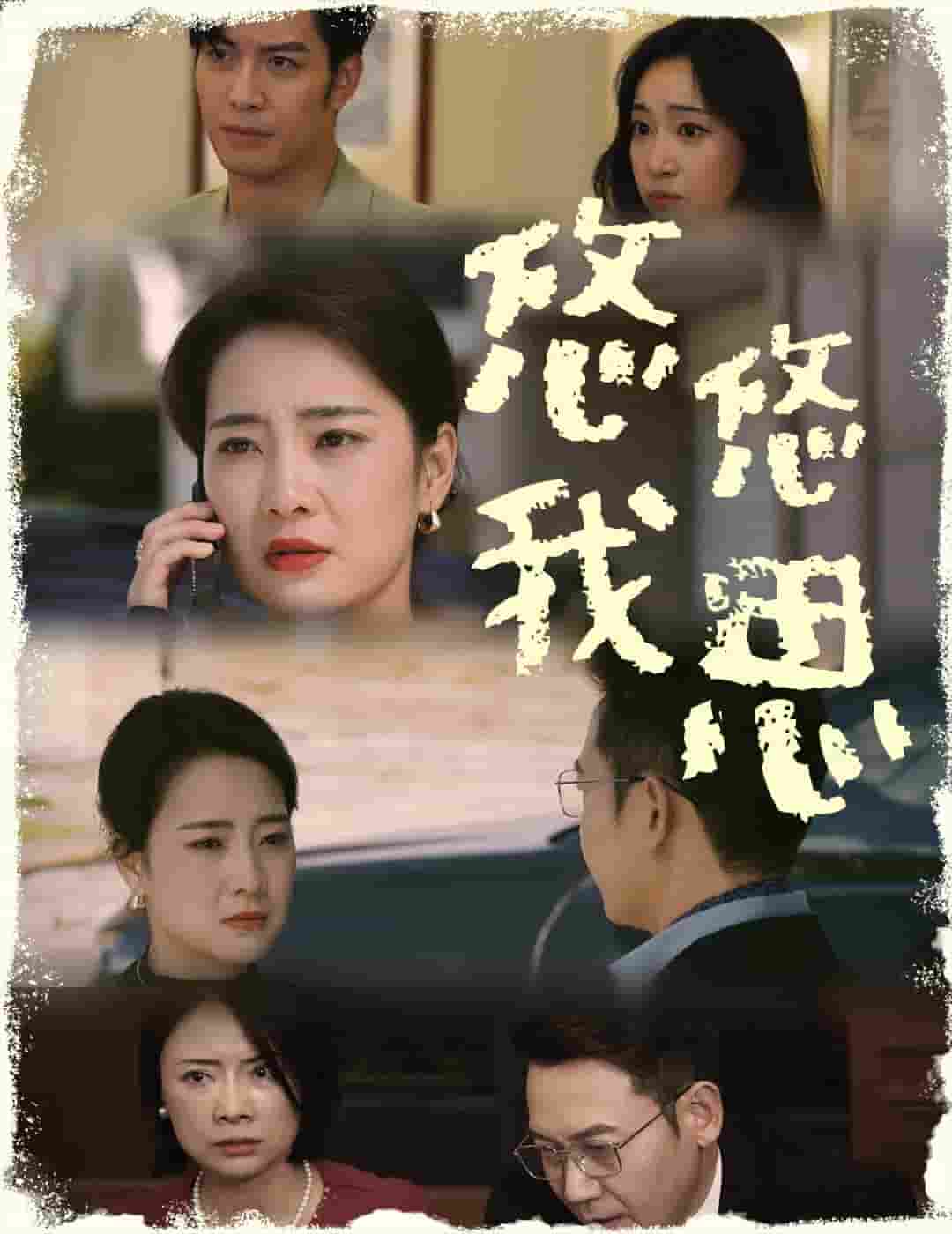 悠悠我思 第16集