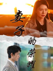 妻子的荣耀 第03集