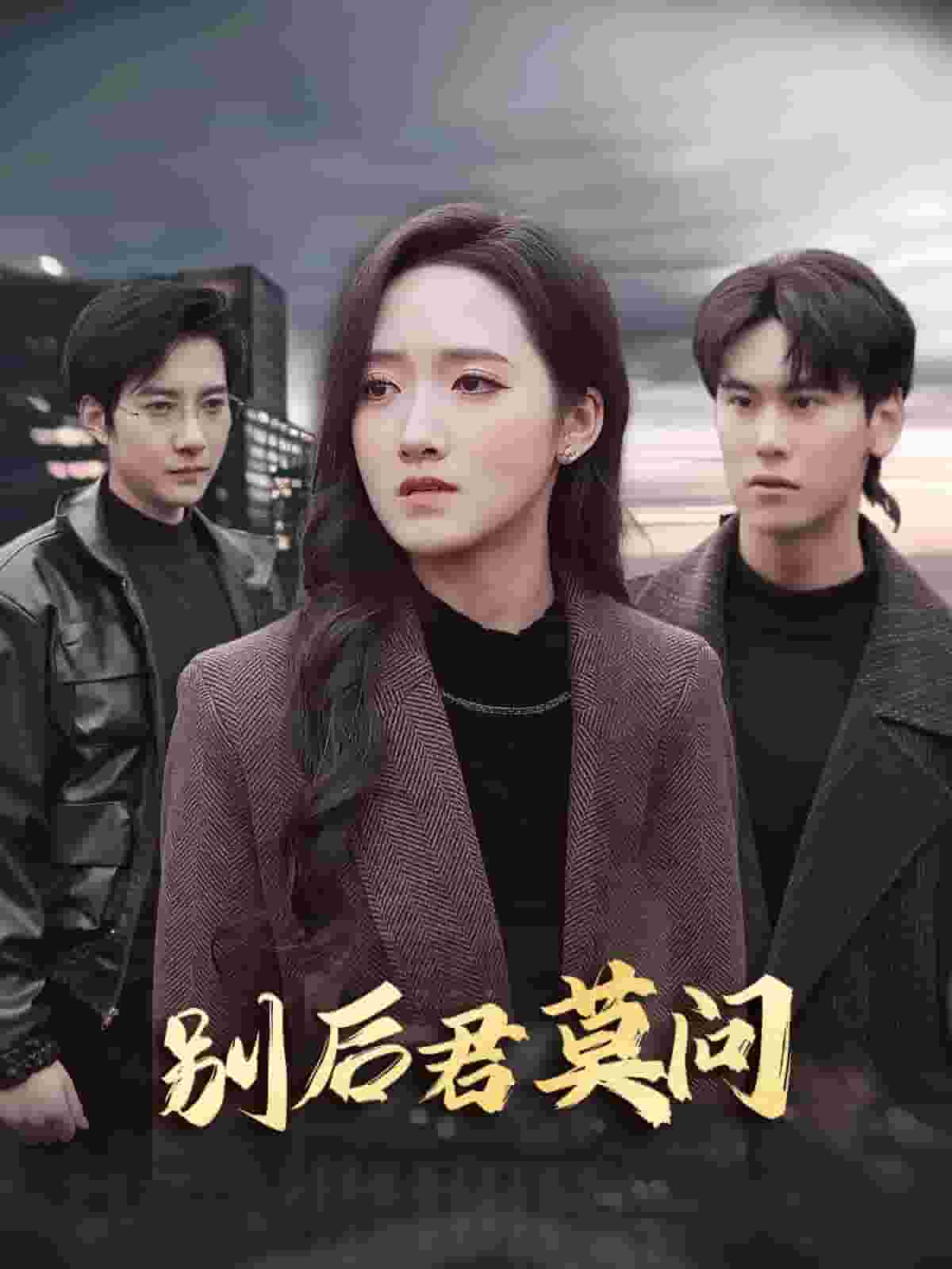 别后悠悠君莫问 第16集