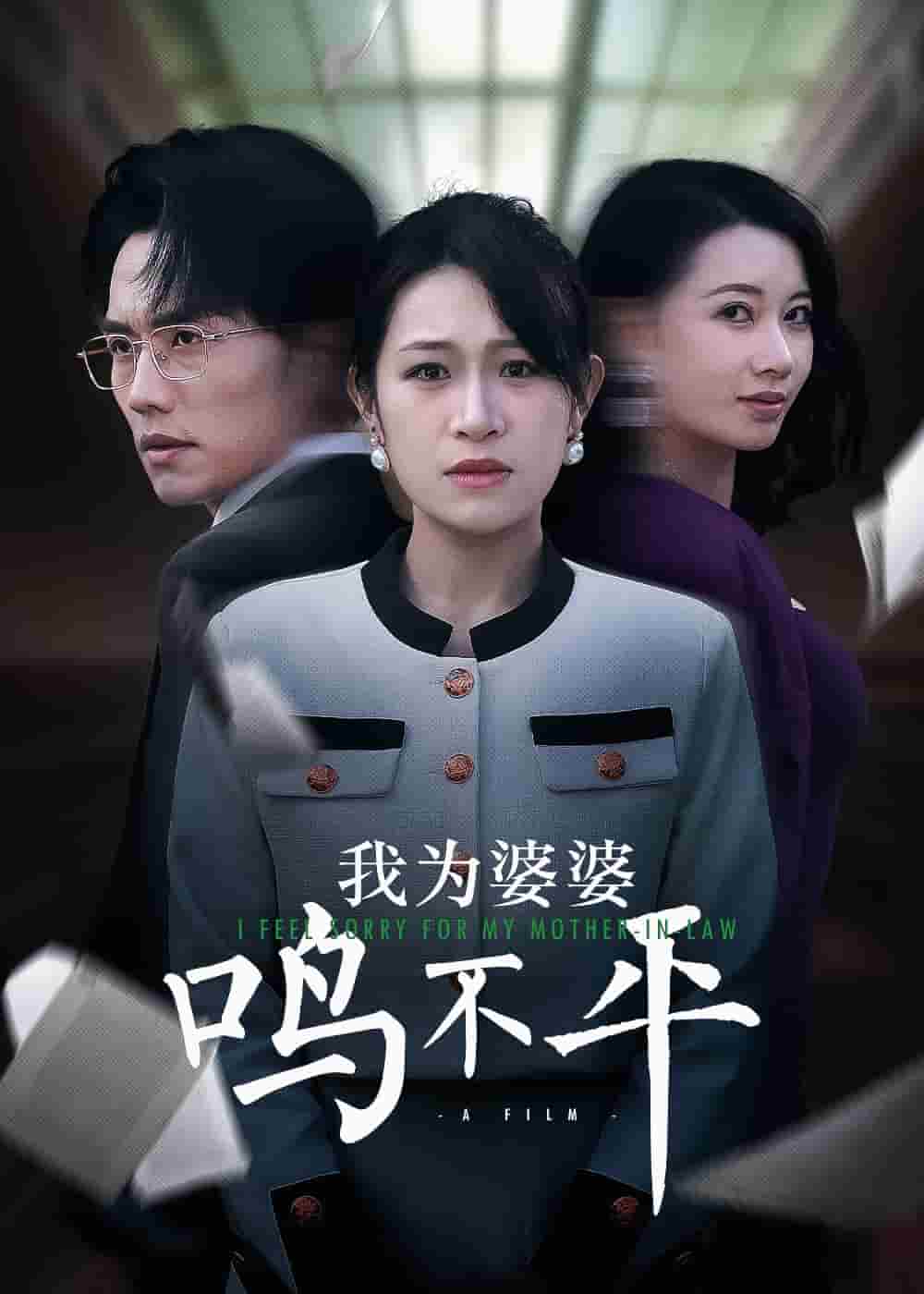 我为婆婆鸣不平 第3集