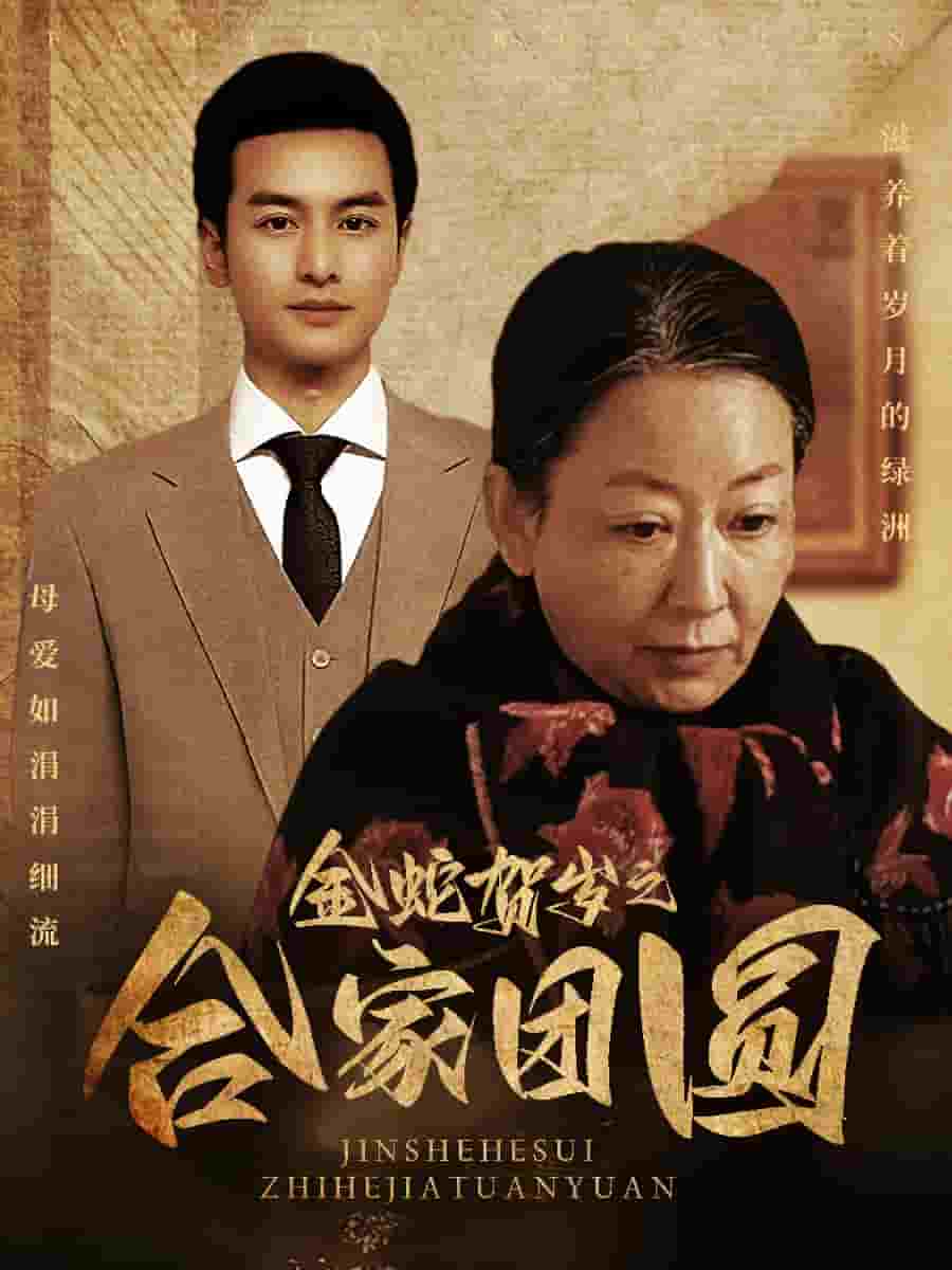 金蛇贺岁之合家团圆 第16集